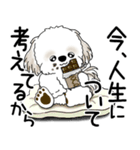 シーズー犬 2025 「文句と心の声」（個別スタンプ：10）