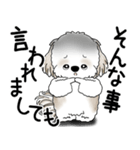 シーズー犬 2025 「文句と心の声」（個別スタンプ：12）