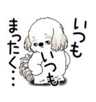 シーズー犬 2025 「文句と心の声」（個別スタンプ：13）