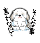 シーズー犬 2025 「文句と心の声」（個別スタンプ：15）