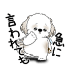 シーズー犬 2025 「文句と心の声」（個別スタンプ：16）