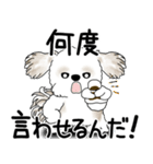 シーズー犬 2025 「文句と心の声」（個別スタンプ：17）