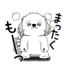 シーズー犬 2025 「文句と心の声」（個別スタンプ：18）