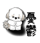シーズー犬 2025 「文句と心の声」（個別スタンプ：20）