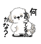 シーズー犬 2025 「文句と心の声」（個別スタンプ：21）