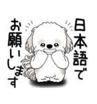 シーズー犬 2025 「文句と心の声」（個別スタンプ：22）