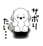 シーズー犬 2025 「文句と心の声」（個別スタンプ：24）