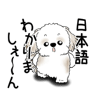 シーズー犬 2025 「文句と心の声」（個別スタンプ：25）
