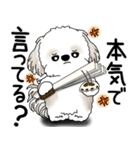 シーズー犬 2025 「文句と心の声」（個別スタンプ：27）