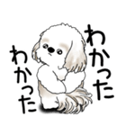 シーズー犬 2025 「文句と心の声」（個別スタンプ：30）