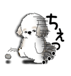 シーズー犬 2025 「文句と心の声」（個別スタンプ：31）
