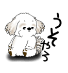 シーズー犬 2025 「文句と心の声」（個別スタンプ：34）