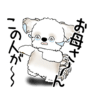 シーズー犬 2025 「文句と心の声」（個別スタンプ：37）
