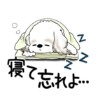 シーズー犬 2025 「文句と心の声」（個別スタンプ：39）