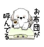 シーズー犬 2025 「文句と心の声」（個別スタンプ：40）