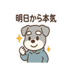 ぐちシュナのぐちぐちライフ（個別スタンプ：29）