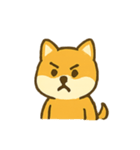 パワフル柴犬 いたずらパレード（個別スタンプ：2）