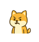 パワフル柴犬 いたずらパレード（個別スタンプ：7）