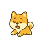 パワフル柴犬 いたずらパレード（個別スタンプ：11）