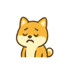 パワフル柴犬 いたずらパレード（個別スタンプ：12）