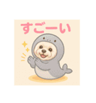 夏バージョン水族館と動物園マルチーズ（個別スタンプ：8）