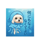 夏バージョン水族館と動物園マルチーズ（個別スタンプ：12）