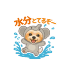 夏バージョン水族館と動物園マルチーズ（個別スタンプ：20）