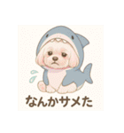夏バージョン水族館と動物園マルチーズ（個別スタンプ：27）