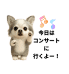 動物のシンプルスタンプ（ライブ等観戦編）（個別スタンプ：2）