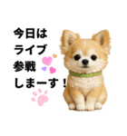 動物のシンプルスタンプ（ライブ等観戦編）（個別スタンプ：4）