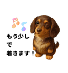 動物のシンプルスタンプ（ライブ等観戦編）（個別スタンプ：18）
