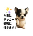 動物のシンプルスタンプ（ライブ等観戦編）（個別スタンプ：19）
