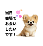 動物のシンプルスタンプ（ライブ等観戦編）（個別スタンプ：23）