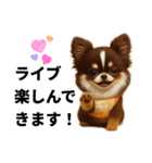 動物のシンプルスタンプ（ライブ等観戦編）（個別スタンプ：33）