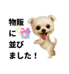 動物のシンプルスタンプ（ライブ等観戦編）（個別スタンプ：34）