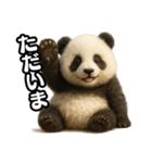日常会話verパンダ（個別スタンプ：5）