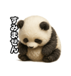 日常会話verパンダ（個別スタンプ：14）