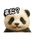 日常会話verパンダ（個別スタンプ：29）