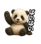 日常会話verパンダ（個別スタンプ：31）