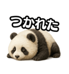 日常会話verパンダ（個別スタンプ：38）