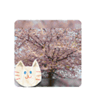 毎日使えるかどうか不明な日常スタンプ（個別スタンプ：30）