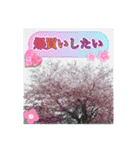 毎日使えるかどうか不明な日常スタンプ（個別スタンプ：31）