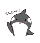 シャチのしゃっちー リアクション（個別スタンプ：1）
