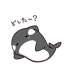 シャチのしゃっちー リアクション（個別スタンプ：6）