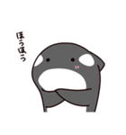 シャチのしゃっちー リアクション（個別スタンプ：9）