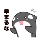 シャチのしゃっちー リアクション（個別スタンプ：10）