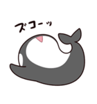 シャチのしゃっちー リアクション（個別スタンプ：16）