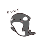 シャチのしゃっちー リアクション（個別スタンプ：19）