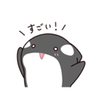 シャチのしゃっちー リアクション（個別スタンプ：21）
