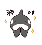 シャチのしゃっちー リアクション（個別スタンプ：24）